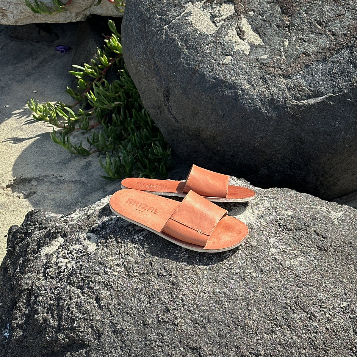 Sola / Oiled Veg Tan Leather / Womens