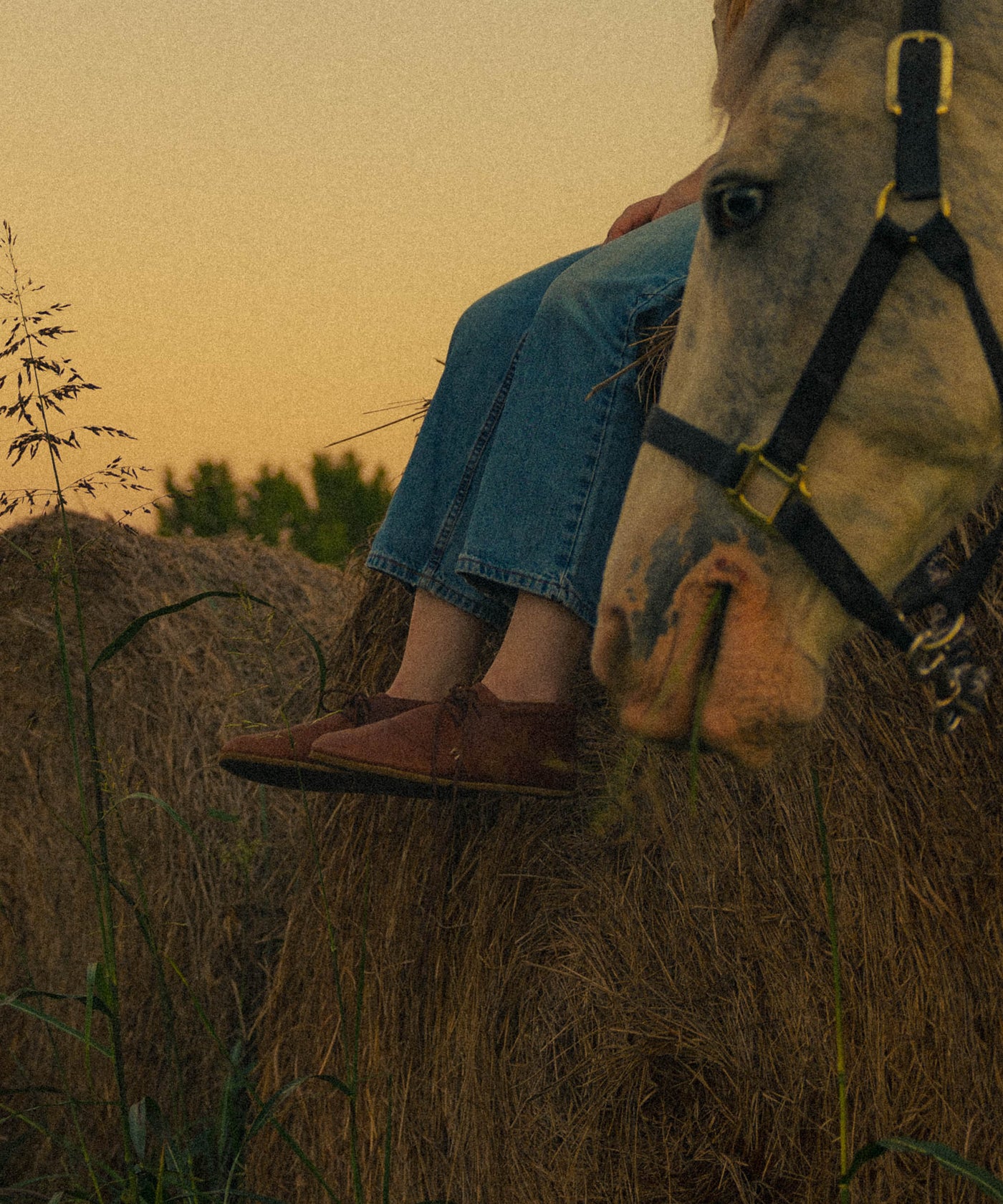 Joro / Sienna Leather / Womens