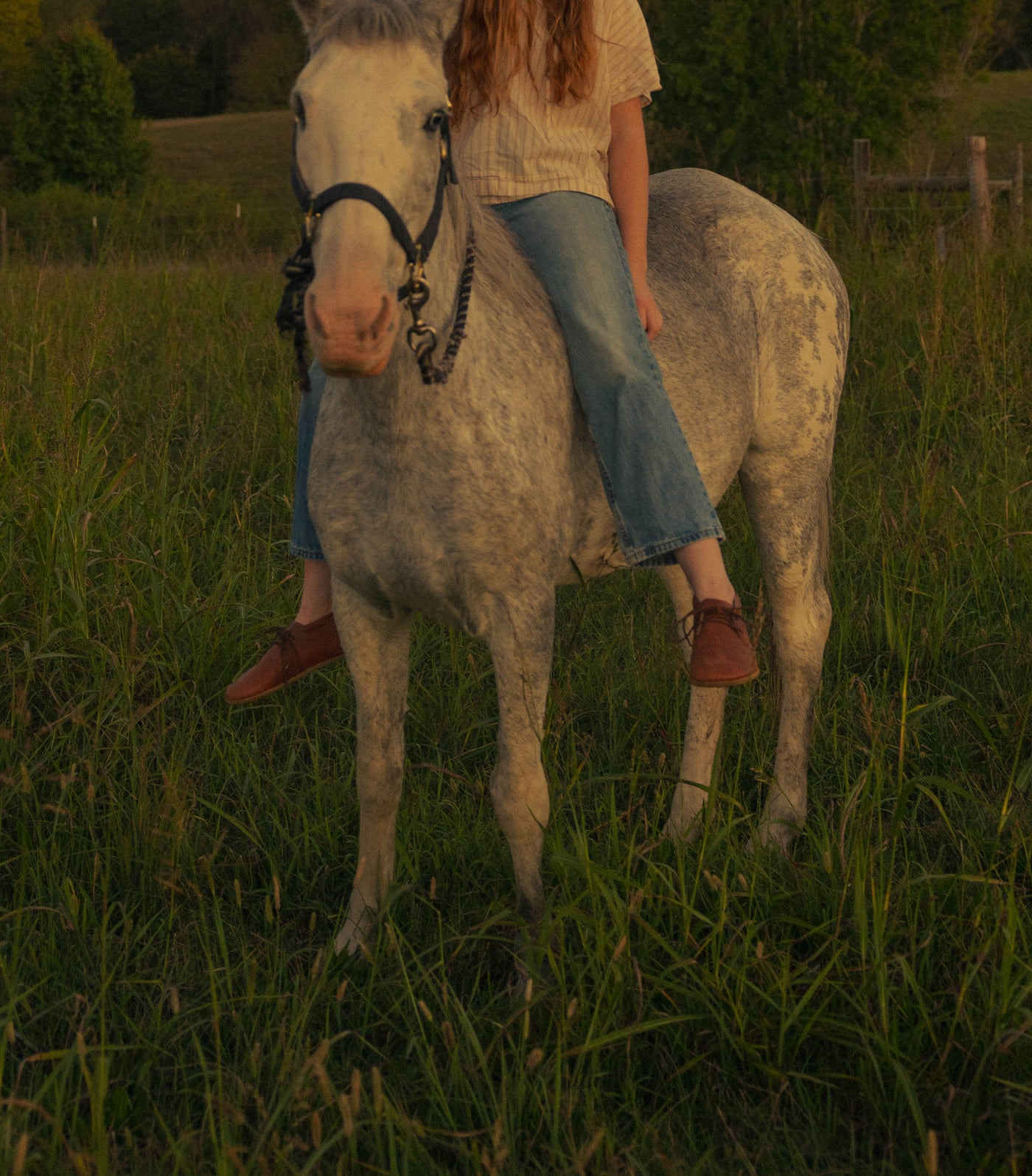 Joro / Sienna Leather / Womens