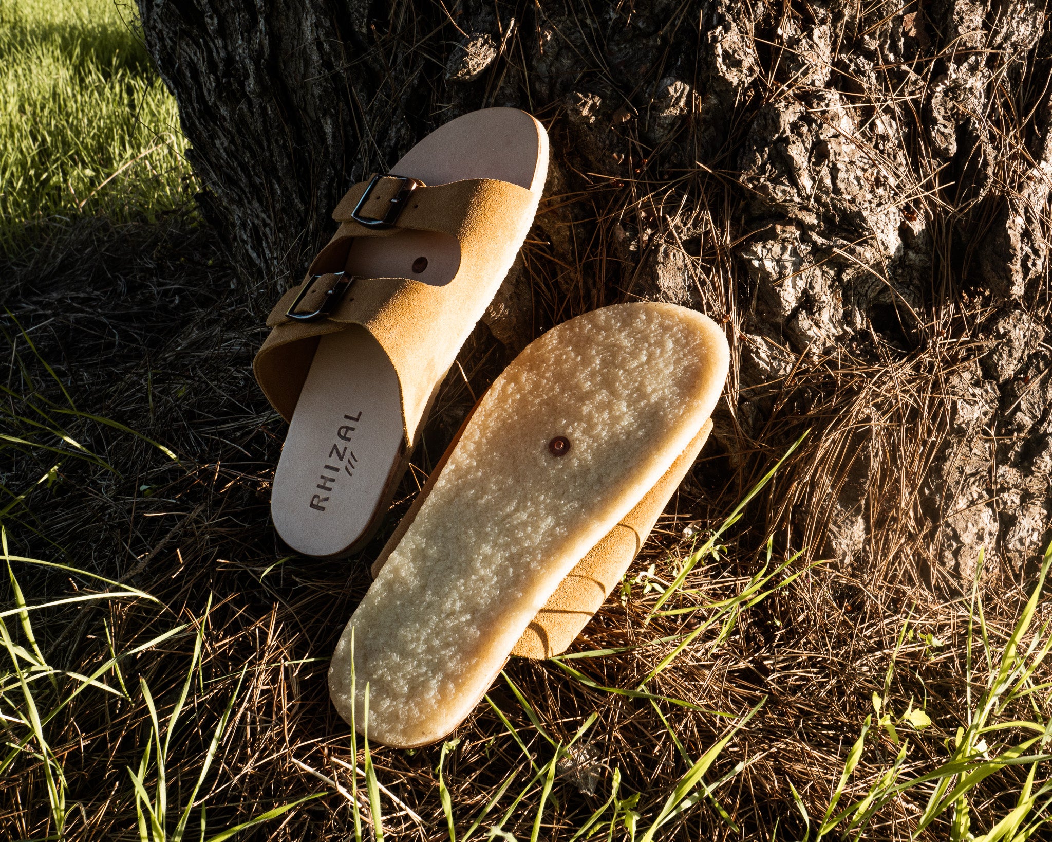 Tanu / Oat Suede / Mens