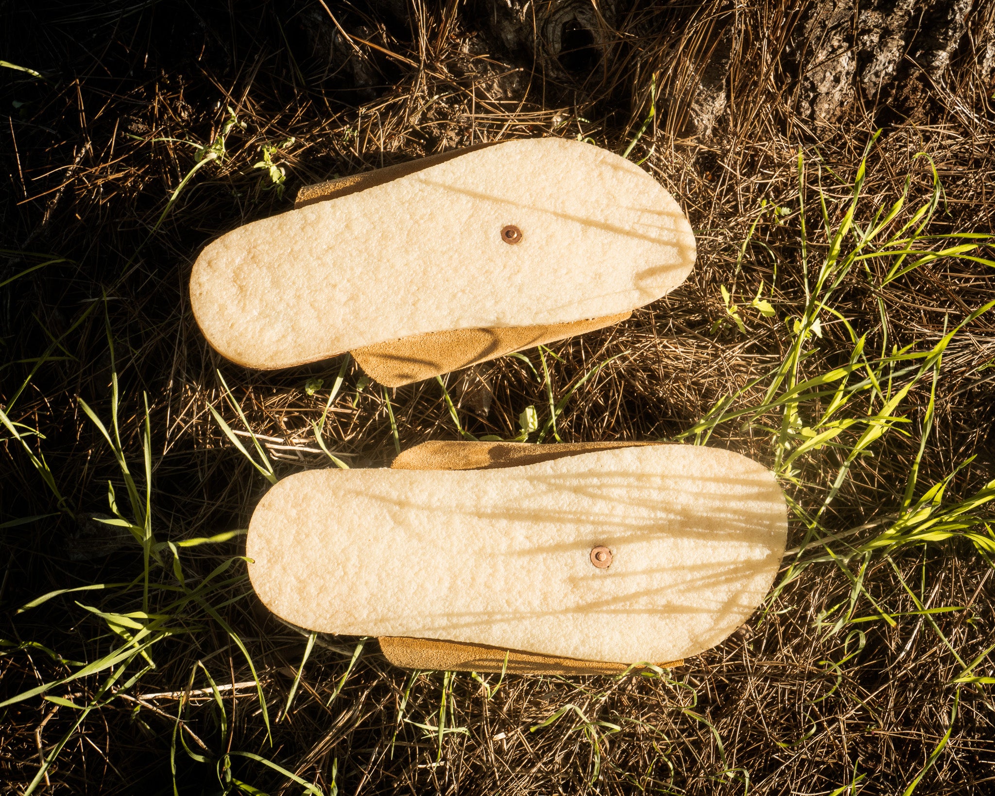 Tanu / Oat Suede / Mens