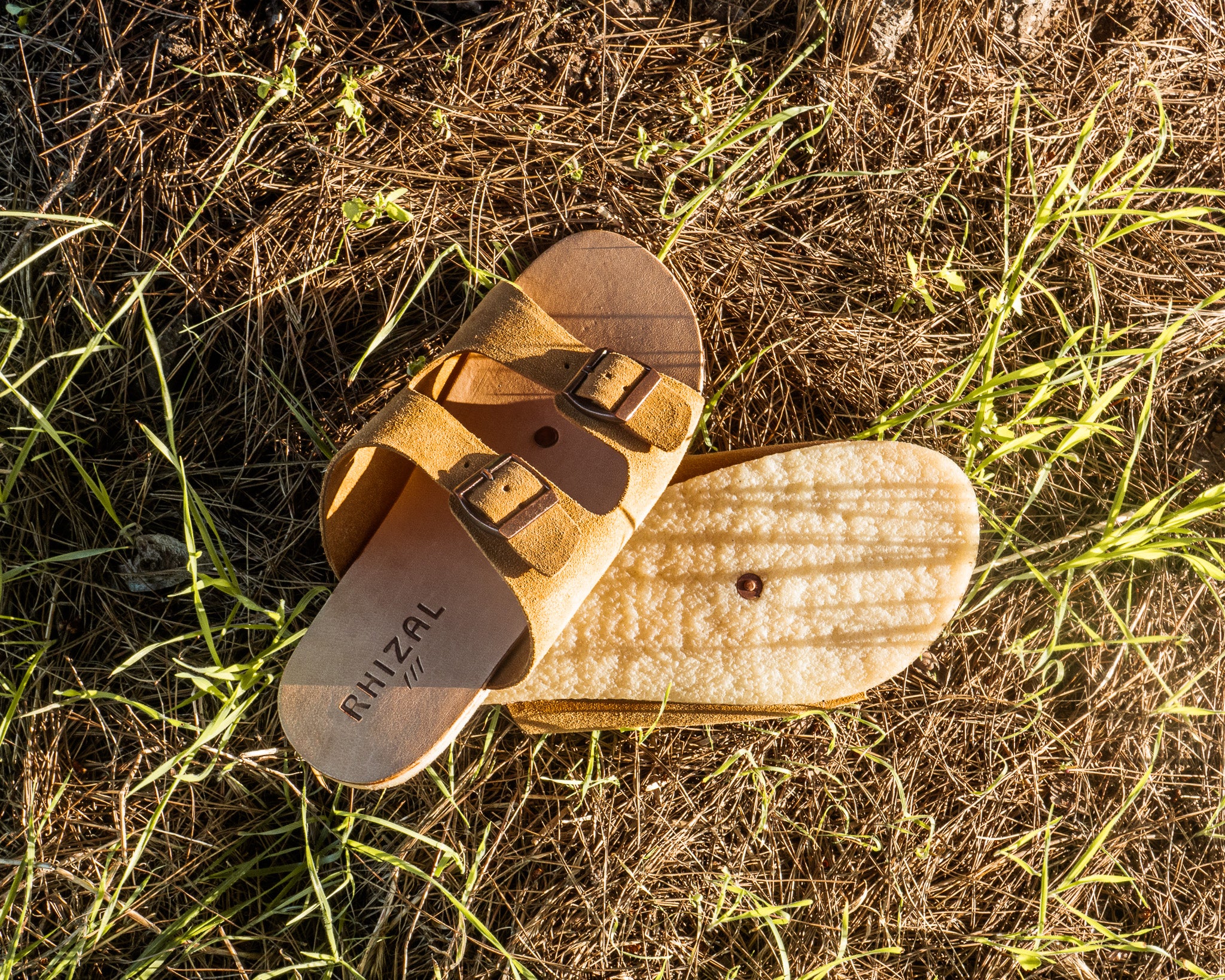 Tanu / Oat Suede / Mens