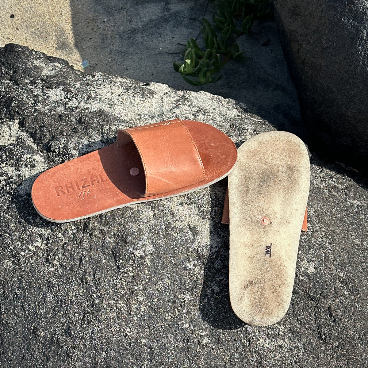Sola / Undyed Veg Tan Leather / Mens
