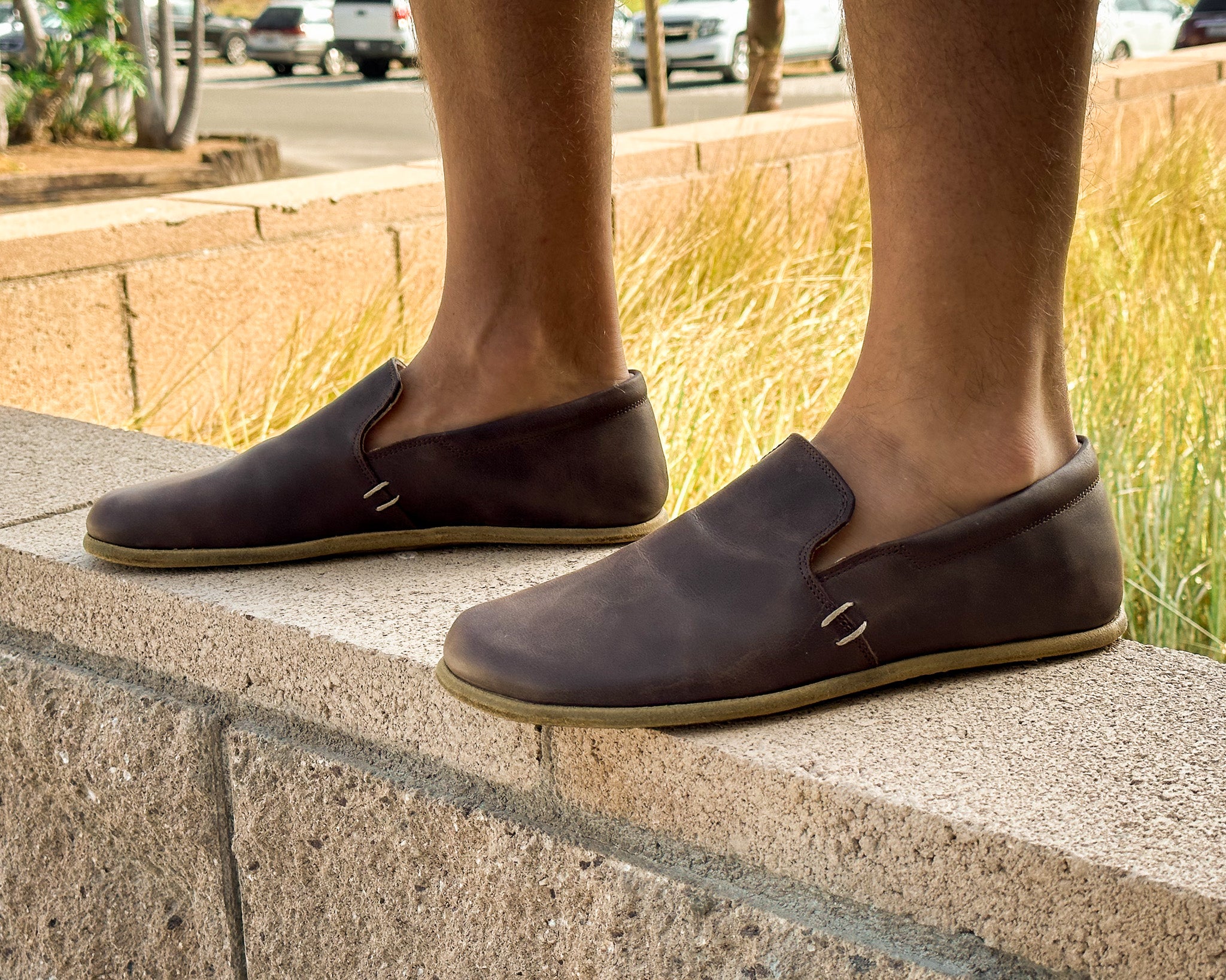 Brio / Cacao Leather / Mens