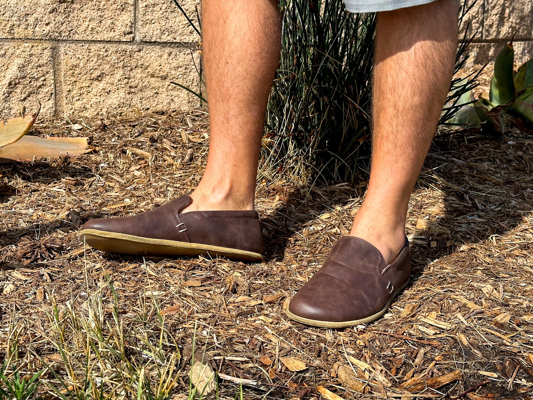 Brio / Cacao Leather / Mens