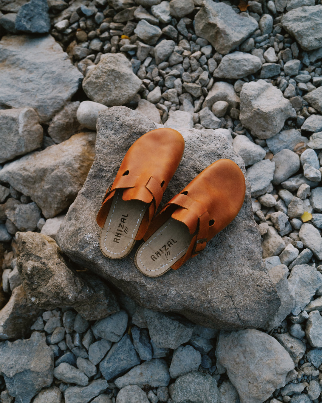 チュベローズ インディアナ CHAW-JCH107986-050919-S20-