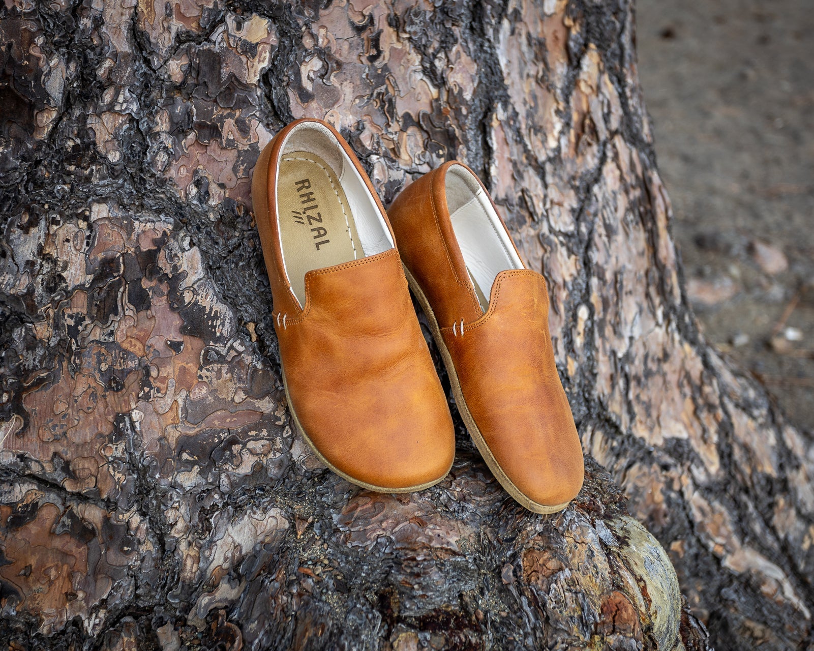 Brio / Honey Leather / Mens